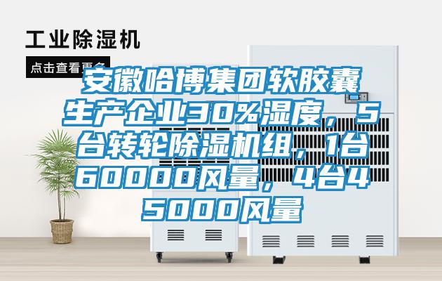 安徽哈博集團軟膠囊生產企業30%濕度，5臺轉輪除濕機組，1臺60000風量，4臺45000風量