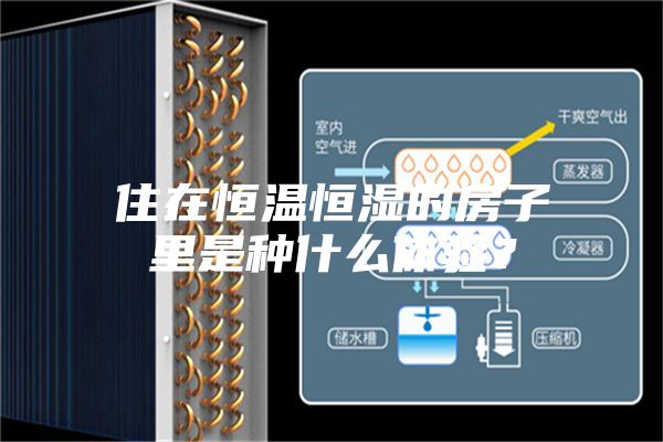 住在恒溫恒濕的房子里是種什么體驗(yàn)？