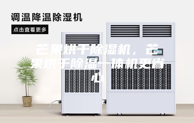 芒果烘干除濕機，芒果烘干除濕一體機更省心