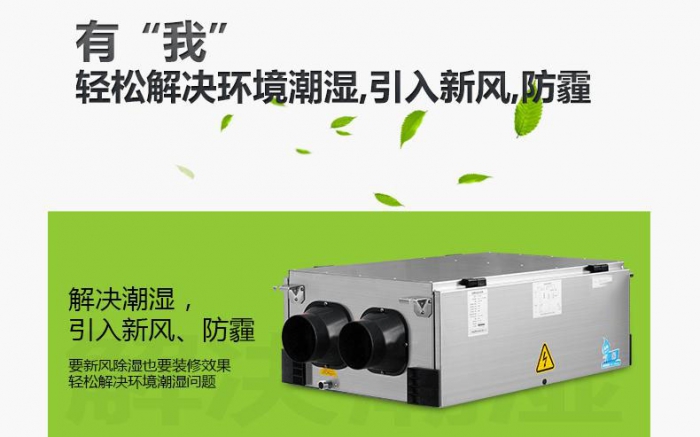 回南天貓毛都粘在一起，面對(duì)潮濕天氣，鏟屎官養(yǎng)貓需要注意什么