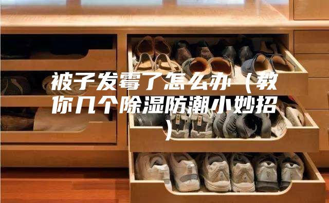 被子發霉了怎么辦(教你幾個除濕防潮小妙招)