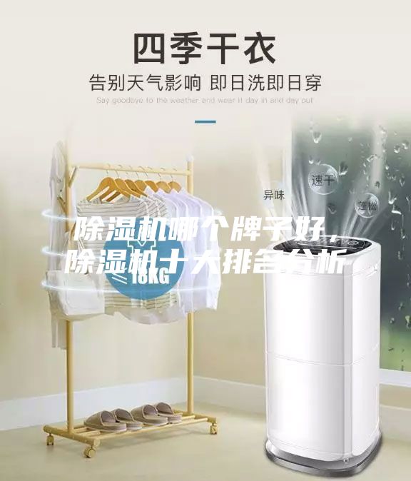 除濕機哪個牌子好，除濕機十大排名分析
