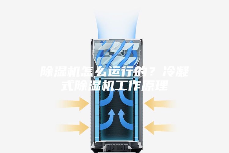 除濕機怎么運行的？冷凝式除濕機工作原理