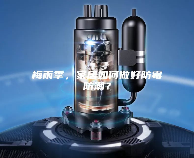 梅雨季，家居如何做好防霉防潮？