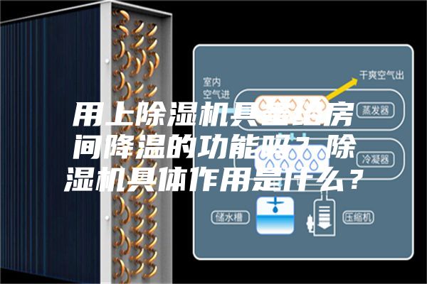 用上除濕機(jī)具備給房間降溫的功能嗎？除濕機(jī)具體作用是什么？