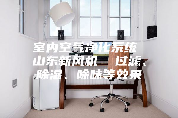 室內(nèi)空氣凈化系統(tǒng) 山東新風(fēng)機(jī)  過(guò)濾、除濕、除味等效果