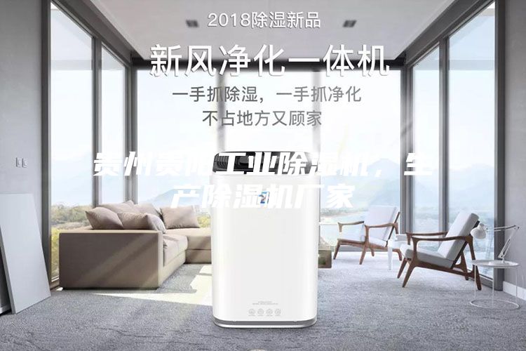 貴州貴陽工業除濕機，生產除濕機廠家