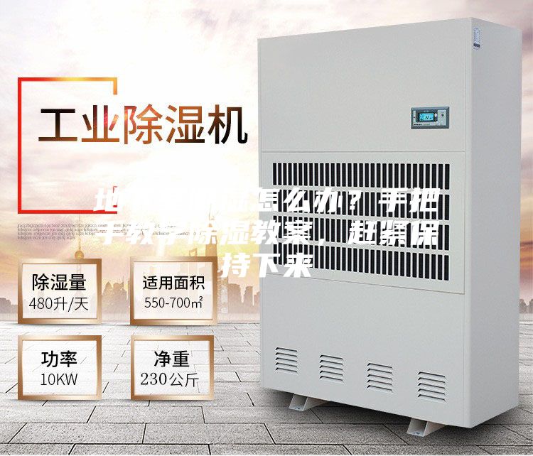 地下室潮濕怎么辦？手把手教學(xué)除濕教案，趕緊保持下來