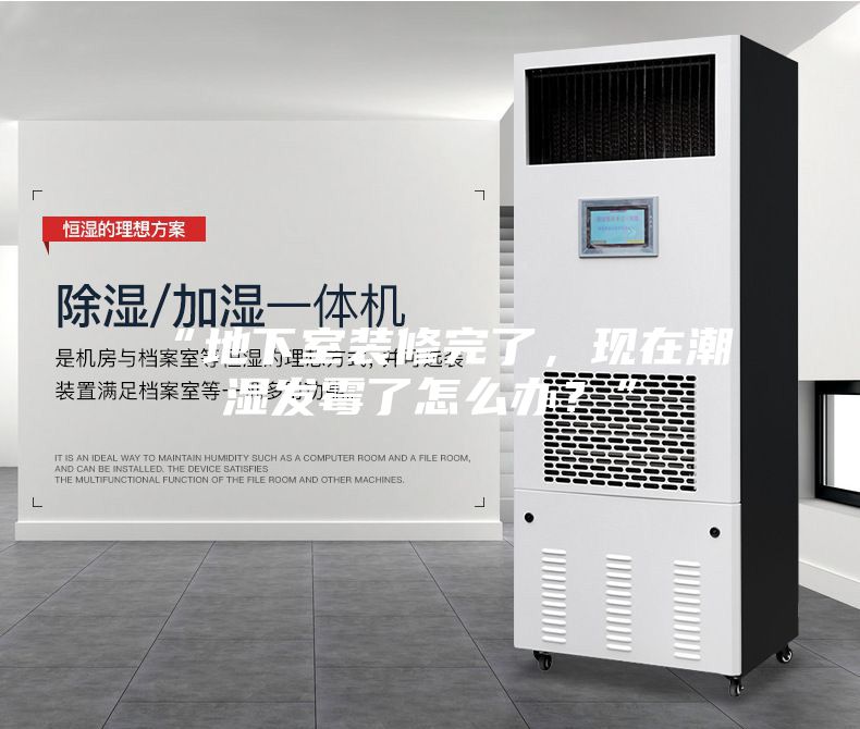 “地下室裝修完了，現在潮濕發霉了怎么辦？”