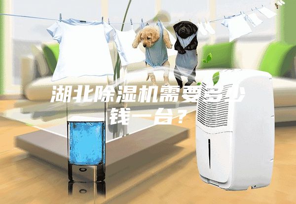 湖北除濕機(jī)需要多少錢一臺？