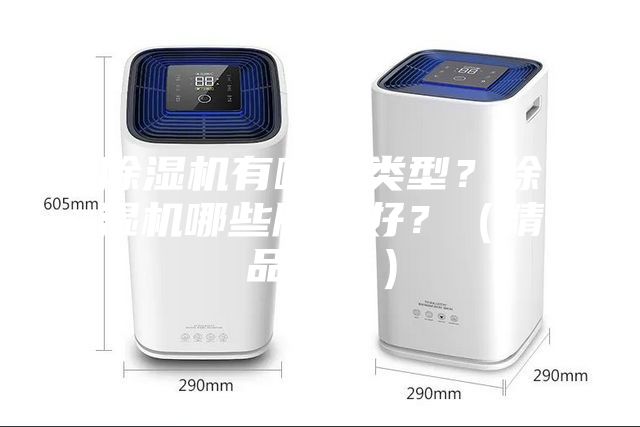 除濕機有哪些類型？除濕機哪些牌子好？（精品推薦）