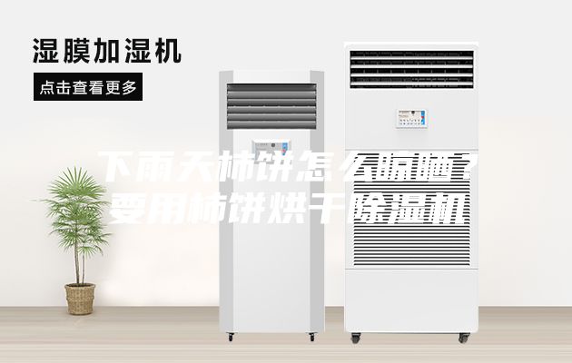 下雨天柿餅怎么晾曬？要用柿餅烘干除濕機