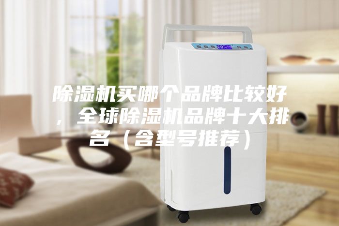 除濕機買哪個品牌比較好，全球除濕機品牌十大排名（含型號推薦）