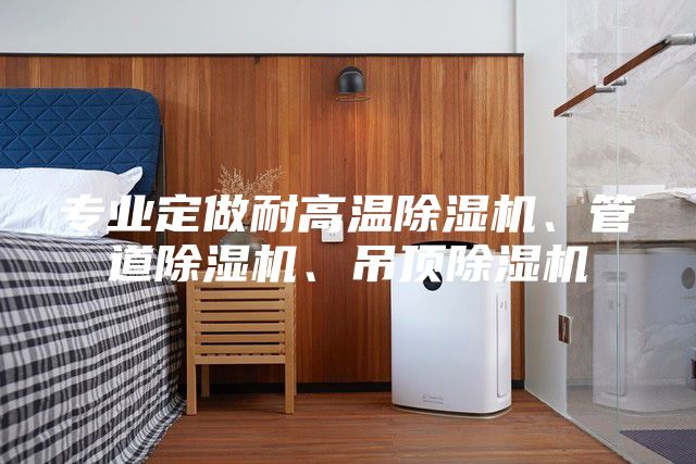 專業(yè)定做耐高溫除濕機、管道除濕機、吊頂除濕機