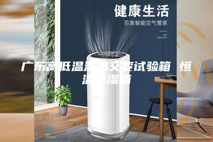 廣東高低溫濕熱交變?cè)囼?yàn)箱 恒溫恒濕箱