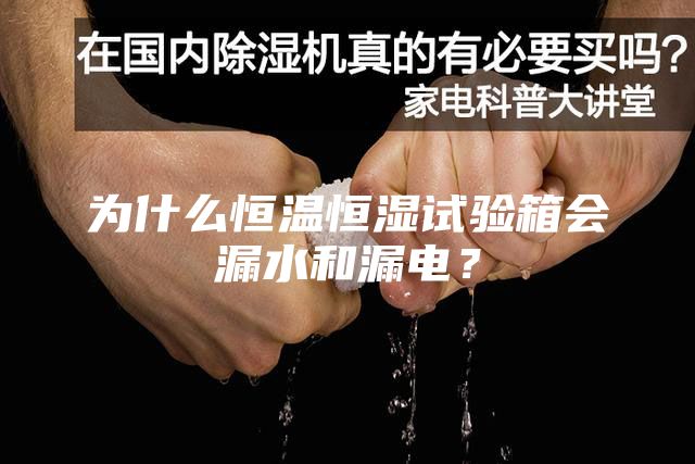 為什么恒溫恒濕試驗箱會漏水和漏電?