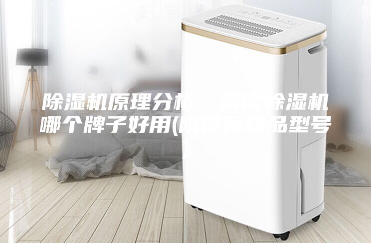 除濕機原理分析，解讀除濕機哪個牌子好用(附推薦精品型號)