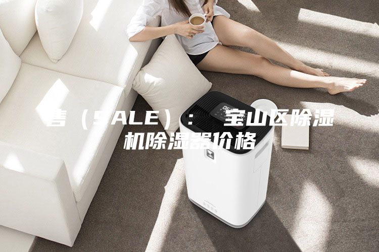 售（SALE）： 寶山區(qū)除濕機(jī)除濕器價(jià)格