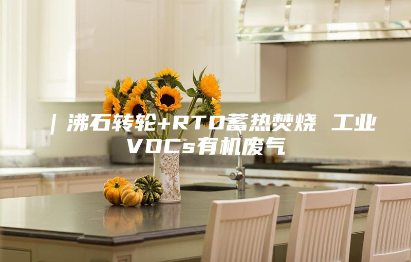 |沸石轉輪+RTO蓄熱焚燒 工業VOCs有機廢氣