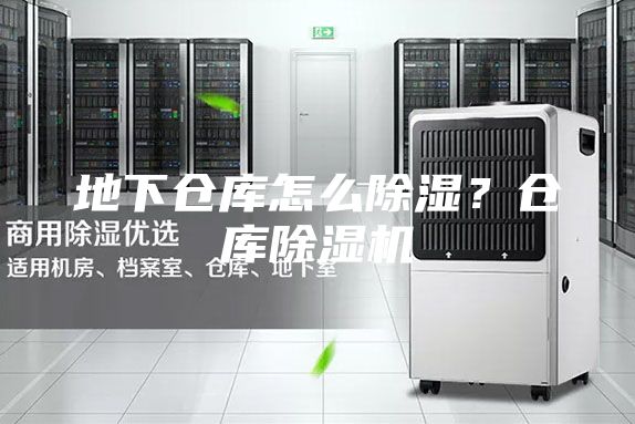地下倉庫怎么除濕？倉庫除濕機(jī)