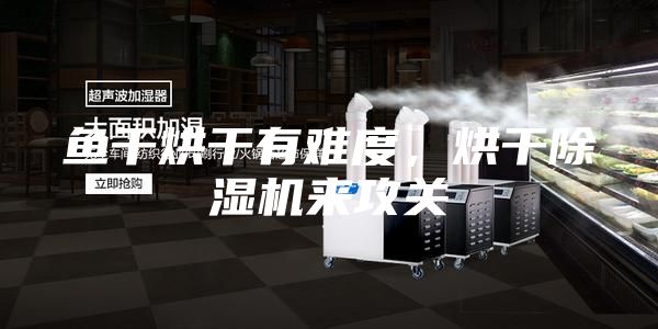 魚干烘干有難度，烘干除濕機來攻關