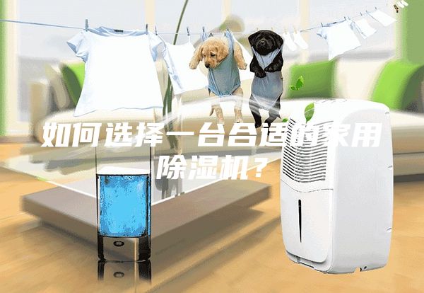 如何選擇一臺合適的家用除濕機？