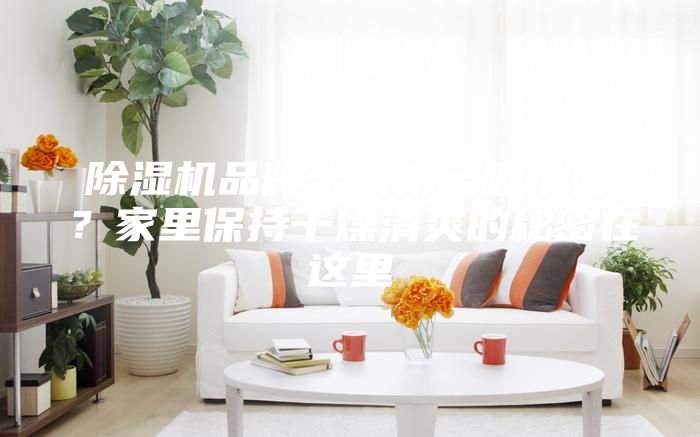 除濕機品牌十大排名哪個好？家里保持干燥清爽的秘密在這里