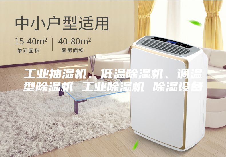 工業(yè)抽濕機、低溫除濕機、調(diào)溫型除濕機 工業(yè)除濕機 除濕設備