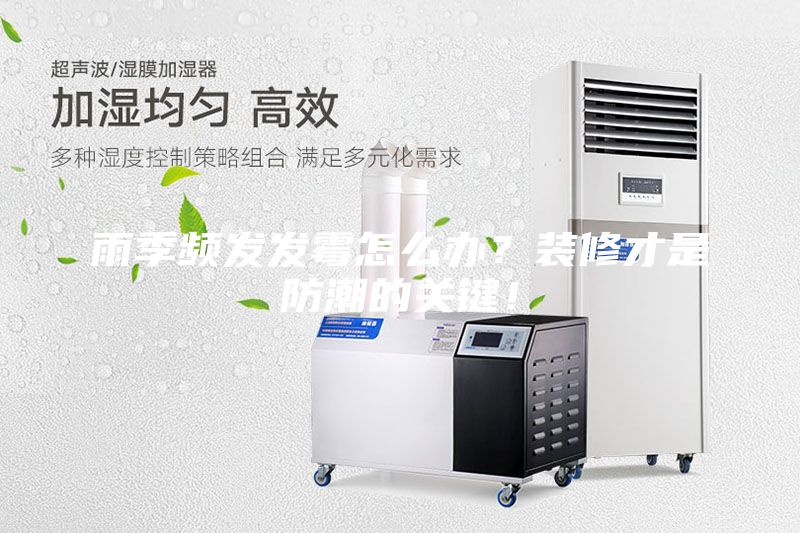 雨季頻發(fā)發(fā)霉怎么辦？裝修才是防潮的關鍵！