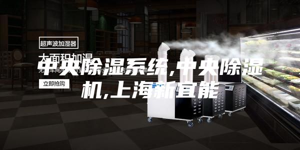 中央除濕系統(tǒng),中央除濕機(jī),上海新宜能