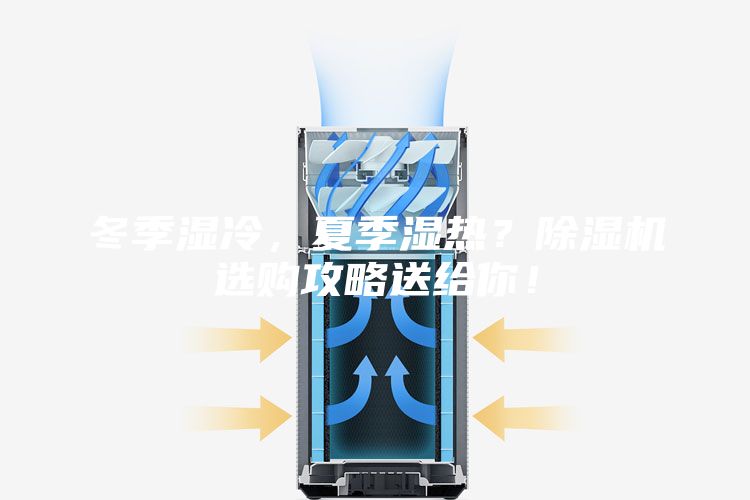 冬季濕冷，夏季濕熱？除濕機選購攻略送給你！