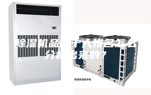 除濕機(jī)品牌十大排名怎么分析出來(lái)的?