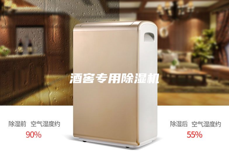 酒窖專用除濕機(jī)