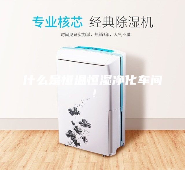 什么是恒溫恒濕凈化車間！