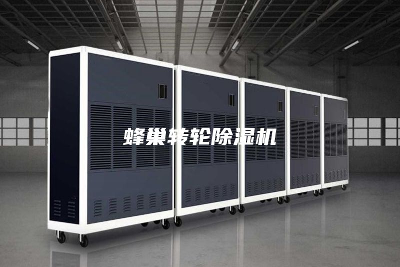 蜂巢轉輪除濕機