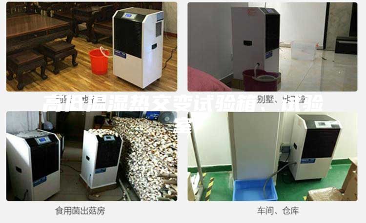 高低溫濕熱交變試驗箱、試驗室