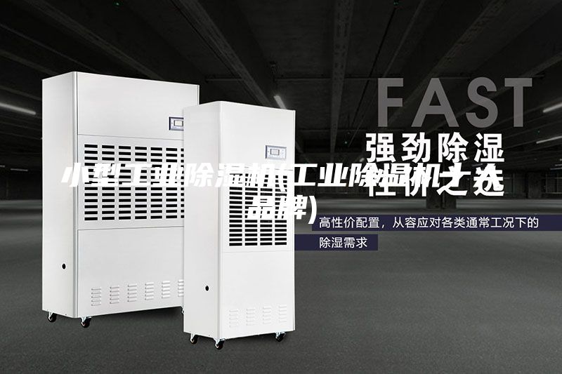 小型工業(yè)除濕機(工業(yè)除濕機十大品牌)