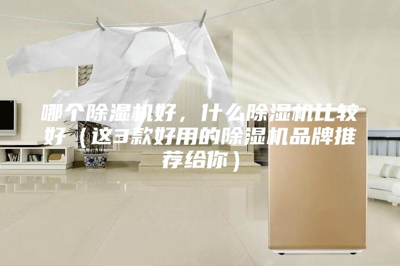 哪個除濕機好，什么除濕機比較好（這3款好用的除濕機品牌推薦給你）