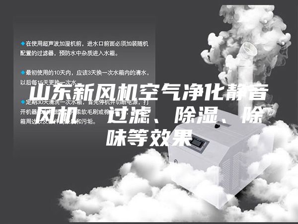 山東新風機空氣凈化靜音風機  過濾、除濕、除味等效果