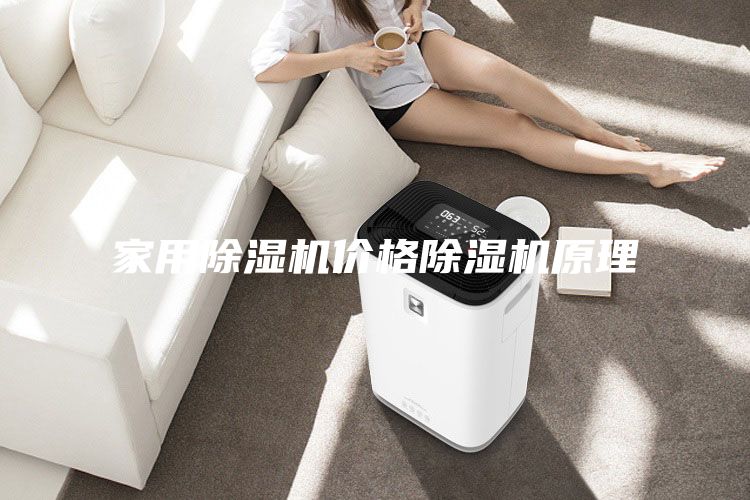 家用除濕機(jī)價(jià)格除濕機(jī)原理