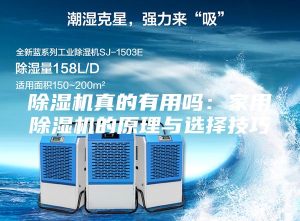 除濕機真的有用嗎：家用除濕機的原理與選擇技巧