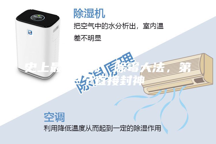 史上最全防潮、除霉大法，第2個直接封神