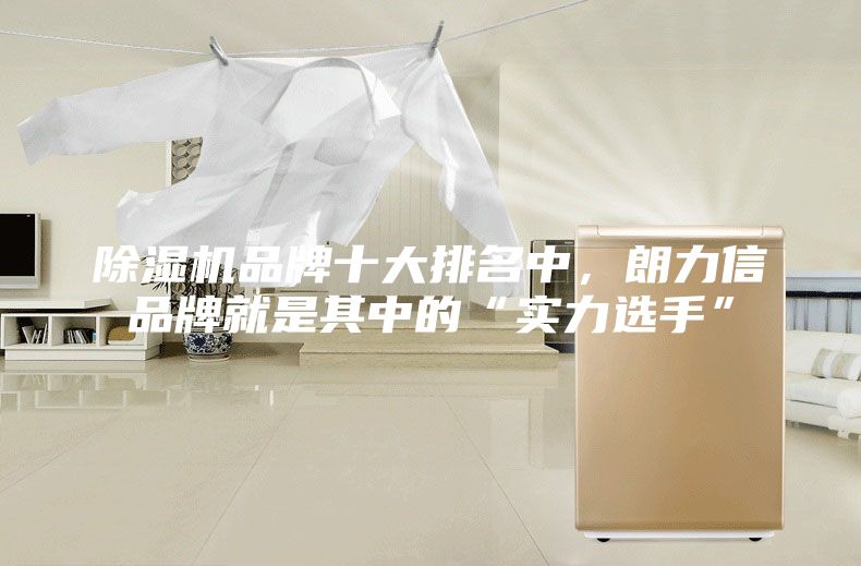 除濕機品牌十大排名中，朗力信品牌就是其中的“實力選手”