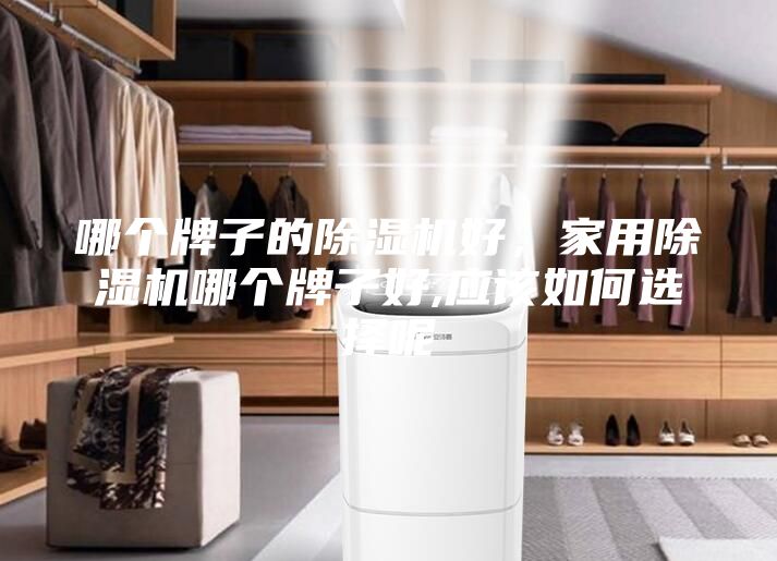 哪個牌子的除濕機好,家用除濕機哪個牌子好,應該如何選擇呢