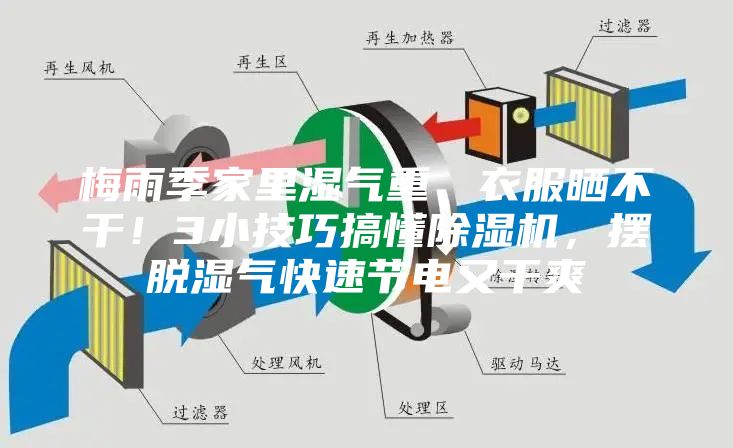 梅雨季家里濕氣重、衣服曬不干！3小技巧搞懂除濕機(jī)，擺脫濕氣快速節(jié)電又干爽