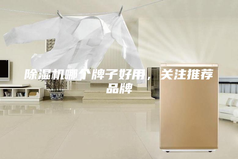 除濕機哪個牌子好用，關注推薦品牌