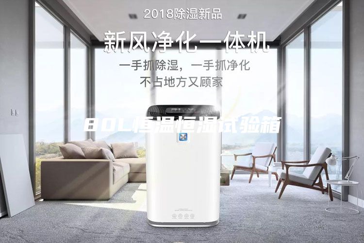 80L恒溫恒濕試驗(yàn)箱