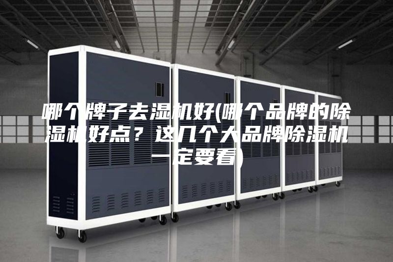 哪個牌子去濕機好(哪個品牌的除濕機好點?這幾個大品牌除濕機一定要看)