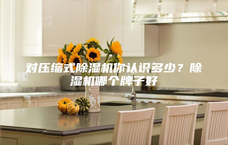 對(duì)壓縮式除濕機(jī)你認(rèn)識(shí)多少？除濕機(jī)哪個(gè)牌子好