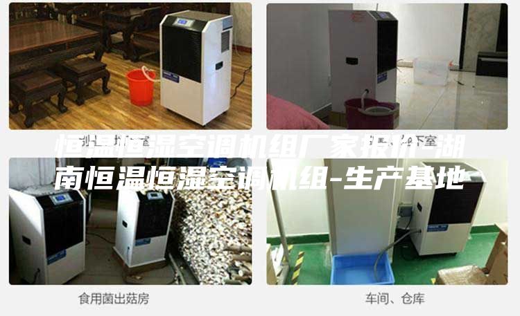 恒溫恒濕空調(diào)機(jī)組廠家報(bào)價(jià)-湖南恒溫恒濕空調(diào)機(jī)組-生產(chǎn)基地